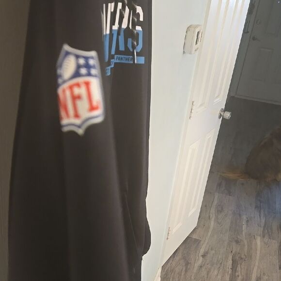 Panthers Black Hoodie - Picture 3 of 8